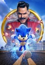 Plagátový obraz SONIC The Hedgehog 100x70 cm #119