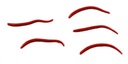 Uhlový červ 5 cm Red Wiggler Gulp! Živý Berkley x60