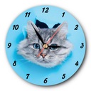 Okrúhle modré tiché hodiny s mačiatkom