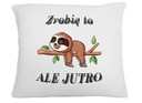 VANKÚŠ ZA Vtipný DARČEK UROBÍM, ALE ZAJTRA