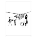 Plagáty 50x70 Umývacie pruhy Zebra Banksy