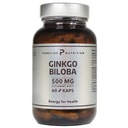Extrakt z Ginkgo Biloba 500 mg