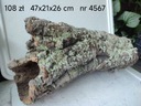 Korková trubica, kôra korkového dubu č.4567