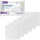 6x VEĽKÁ VÔŇA POhlcujúca VLHKOSŤ NÁPLŇ 250g