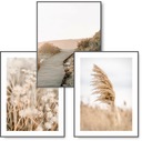 BOHO sada 3 obrazov 30x40 plagát NATURE GRASS #13