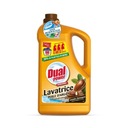 DUAL POWER HORECA ARGAN umývací prostriedok, 5000 ml