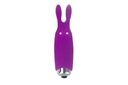 Lastic Pocket Rabbit Mini stimulátor