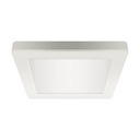 04062 LED stropné svietidlo, 3 farby svetla, 18W IDEUS
