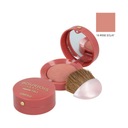 BOURJOIS LITTLE ROUND POT BLUSH 15