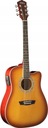 Elektroakustická gitara Washburn WA 90 CE TS