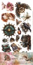 Alchýmia umenia v jesenných farbách sada 8 listov Steampunk Add -ons 15x30