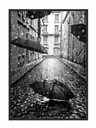 OBRAZOVÝ PLAGÁT V RÁME 33x43 cm Dáždniky P779