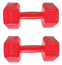 Sada činiek SPARTAN 2 x 2 kg