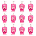 ROSA Magnolia antibakteriálne tekuté mydlo s dávkovačom, 500 ml x 12 kusov