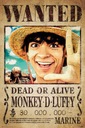 Originál plagát One Piece Wanted Monkey 61x91,5