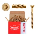 TESÁRSKE SKRUTY DO DREVA 6x120 TORX 100 ks
