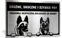 Hliníková doska pozornosť na živých psov dvoma UV psmi
