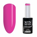 Ntn Hybrid Varnish Premium 150 Delight Sorbet 5g