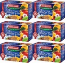 Teekanne Winter Time expresný ovocný čaj 20 obálok x 6 KS