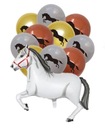 SADA BALÓNOV BALÓN KôŇ KôŇ PONY HEL NARODENINY 13KS