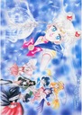 Plagát Bishoujo Senshi Sailor Moon bssm_046 A2