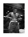 Muhammad Ali Boxer Winner Reprodukcia 60x80 cm