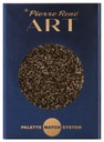PIERRE RENE Art EYESHADOW 079