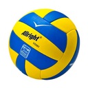 Volejbalová lopta Proline VB601, veľkosť 5
