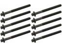 SET SKRUTKOV HLAVY.