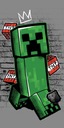 MINECRAFT BAVLNENÁ UTERÁK 70x140 CREEPER BEACH