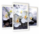 3 obrazy na stenu obývačky 43x99 biela orchidea
