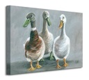 Farebné kačice - maľba na plátne 50x40 cm