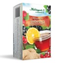 HERBAPOL čaj Fix Zázvor bylinkovo-ovocný 20 ks