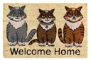 Welcome Home Koty kokosová rohožka do topánok