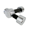 DUMBELL MASTER Sada činiek 2 x 3 KG