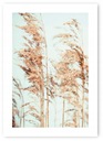 Boho TRAVINY plagát B1 100x70cm #20J