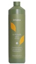 ECHOS Ki-Power Veg Preparing Shampoo 1000ml