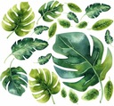 Samolepky na stenu MONSTERA listy 50X100cm MR