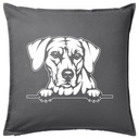RHODÉZSKÝ RIDGEBACK DOG PES darček do vankúša