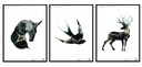 OBRAZOVÉ PLAGÁTY V RÁME 33x43cm Triptych P1392