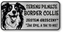 Border Collie Dog Pozornosť Sign