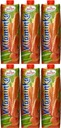 Hortex Vitaminka mrkvová šťava, kartón 1l x6