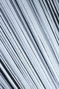 MG CESTOVINOVÉ STRUNKY 4699 290x160cm BIELE + zdarma