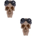 2ks Prístrešok akváriovej nádrže Skeleton Cave