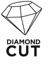 Diamantový kotúč 230 x 22,2 mm, segmentovaný