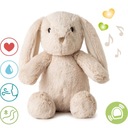 CLOUD B LOVELIGHT BILLY BUNNY HUMING RABBIT SENZOR POHYBU MUSIC BOX