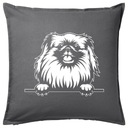Pekingese Pekingese DOG darček vankúš