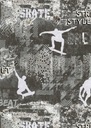 TAPETA 10141-34 PREDAJ MLÁDEŽE SKATEBOARDING NA NETERÉM erismann