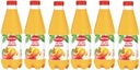 6x 1L fľaša na jablkovú šťavu FORTUNA BAL