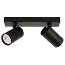 Bodové stropné svietidlo Italux Laconi SPL-2813-2B-BL